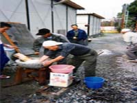 �݂����̎ʐ^�ł��B