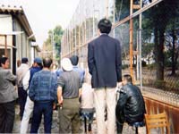 �݂����̎ʐ^�ł��B