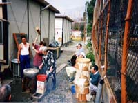 �݂����̎ʐ^�ł��B